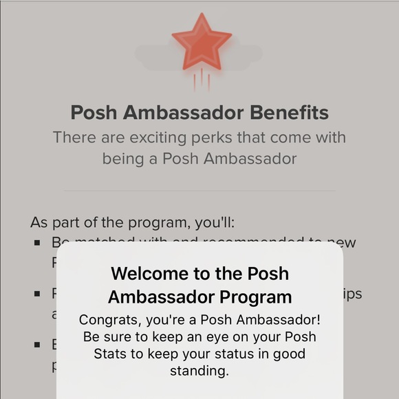 Meet your Posher, Mary - Picture 3 of 4